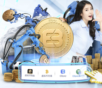 帕罗特3场狂轰6球，但爱尔兰最终点球出局无缘美加墨世界杯